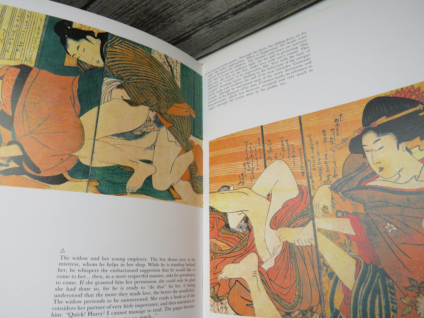 Shunga Erotic Figures in Japanese Art presented by Gabriele Mandel, 1983