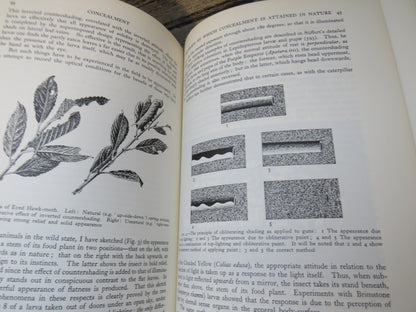 Adaptive Coloration In Animals by Hugh B. Cott (Science Book, 1966) book image 4