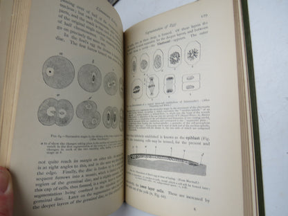 Elementary Practical Zoology By Frank E. Beddard 1906