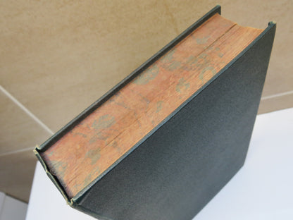 Verner's Pride & Trevlyn Hold By Mrs Henry Wood book image 3