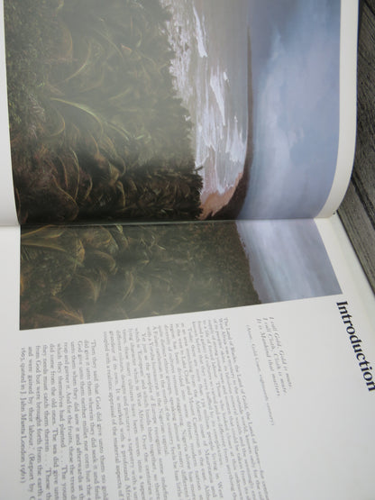 Black Kingdoms Black Peoples, The West African Heritage by Anthony Atmore and Gillian Stacey (Africa book image 5