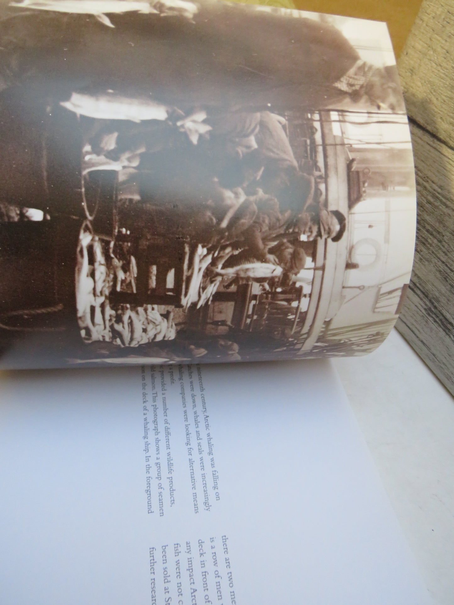 Ancestors in the Arctic, A Photographic History of Dundee Whaling by Malcolm Archibald, 2013