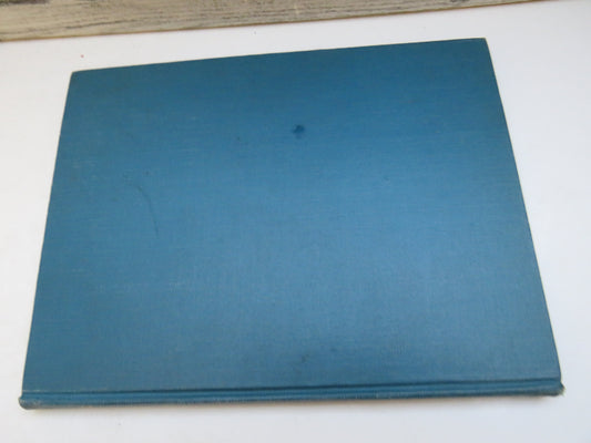 The Satire of Cynicus by Martin Anderson, 1890 (First Edition Book)