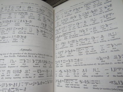 The Book of the Dead, The Papyrus of Ani in the British Museum by E. A. Wallis Budge, 1967 book image 5