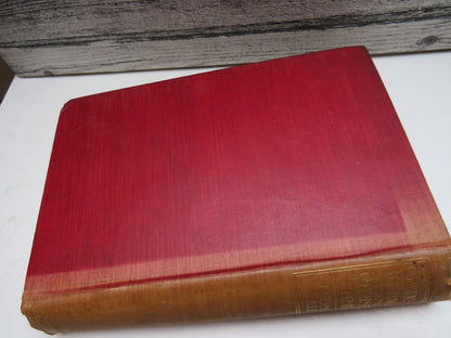 Celtic Art In Pagan and Christian Times By J. Romilly Allen 1904 book image 2