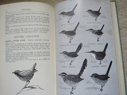 A Field Guide To Western Birds By Roger Tory Peterson 1941 book image 5