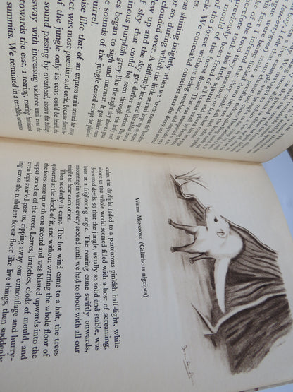 Animal Treasure By Ivan T. Sanderson 1937 book image 6