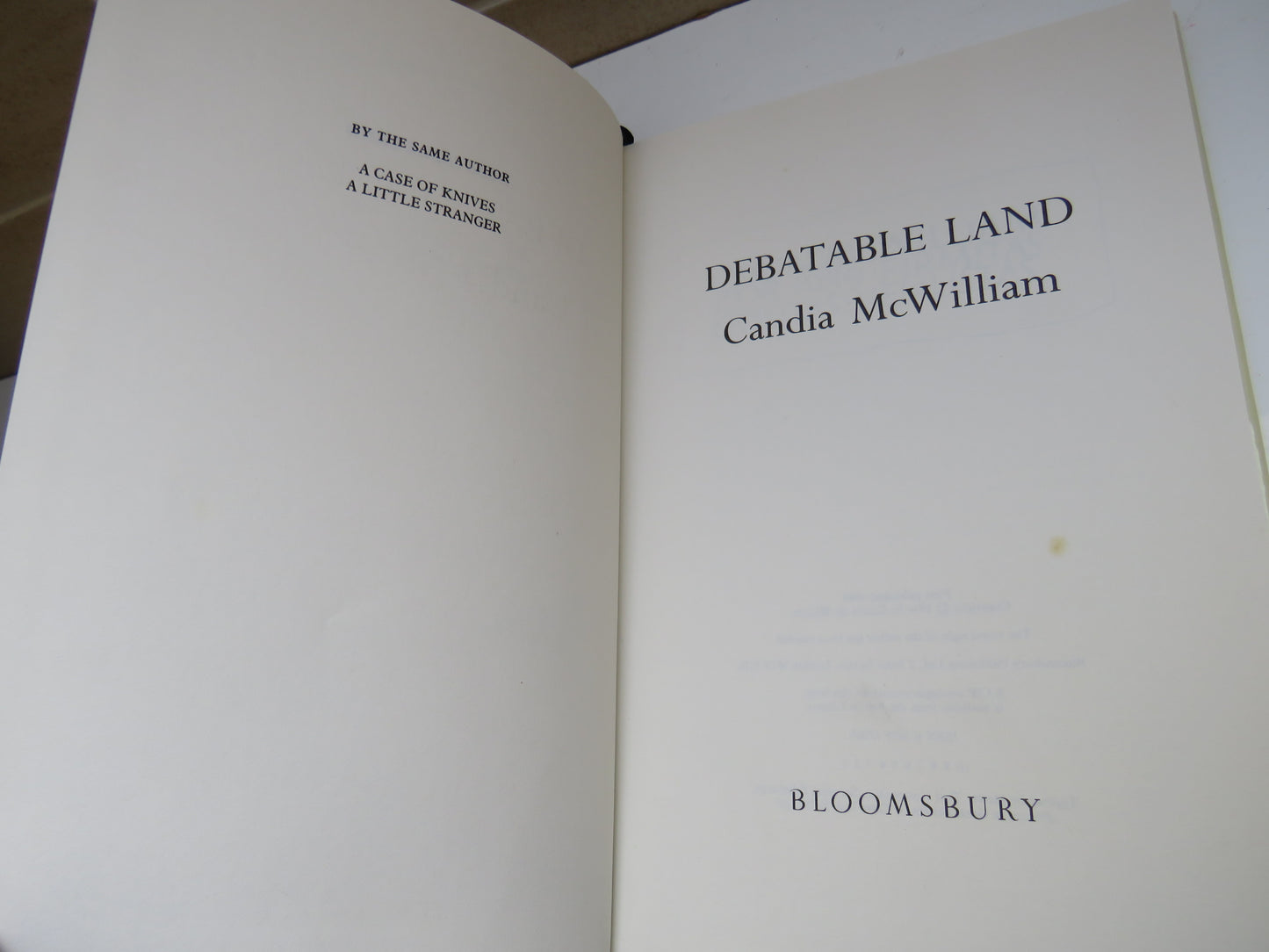 Debatable Land by Candia McWilliam, 1994