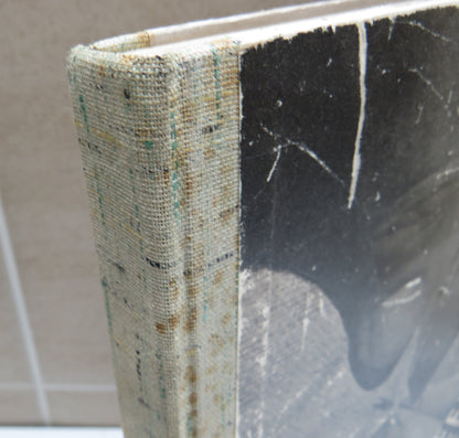 Modern Needlework In 600 Pictures A Daily Express Publication book image 3