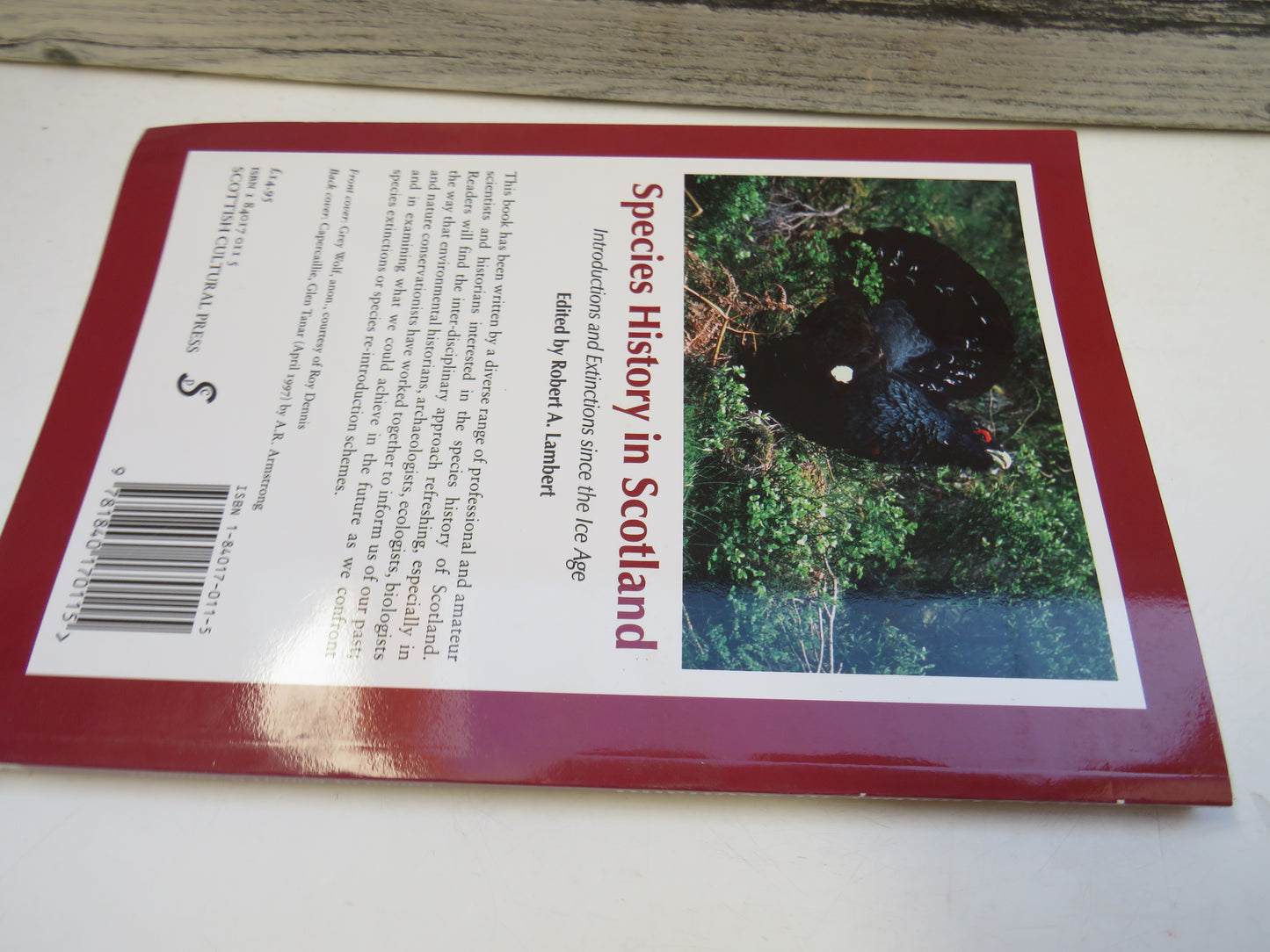 Species History In Scotland Introductions and Extinctions Since The Ice Age Edited By Robert A. Lambert 1998