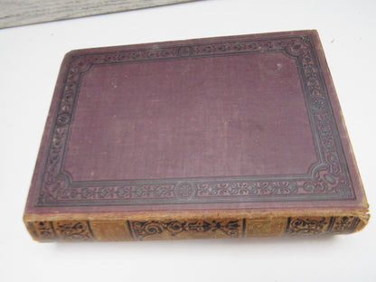 Schillers Sammtliche Werke By Friedrich von Schiller 1879 Antique German Book