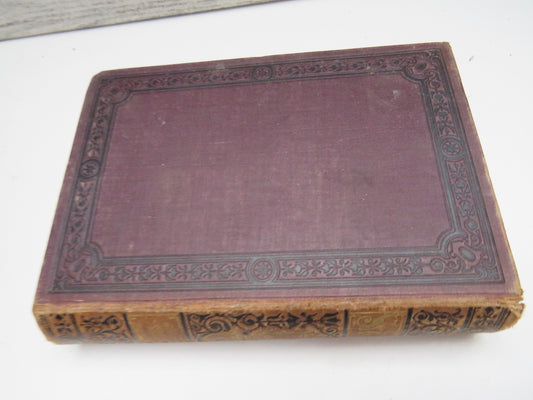 Schillers Sammtliche Werke By Friedrich von Schiller 1879 Antique German Book