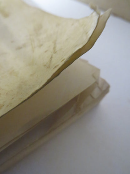 Study Guide to Accompany:  Anatomy & Physiology, Second Edition by Philip Tate, James Kennedy & Rod  book image 4