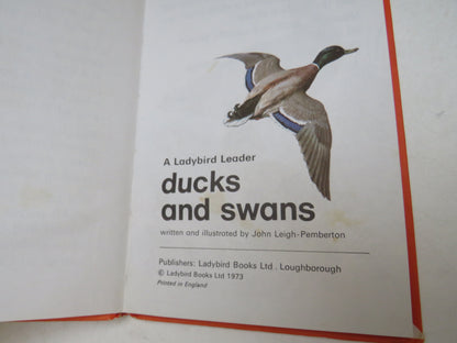 Ducks and Swans written and illustrated by John Leigh-Pemberton, 1973, A Ladybird Leader book image 3