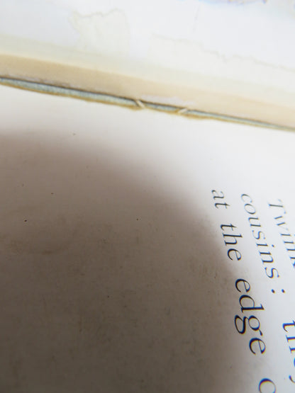 The Tale of Squirrel Nutkin by Beatrix Potter, 1903, First Edition, Antique Children's Book book image 4