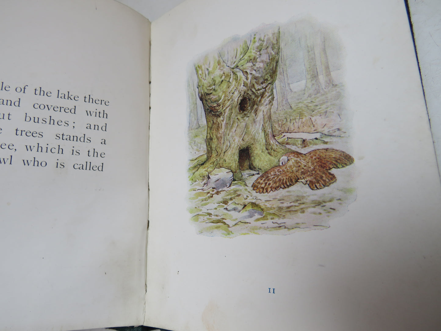 The Tale of Squirrel Nutkin by Beatrix Potter, 1903, First Edition, Antique Children's Book