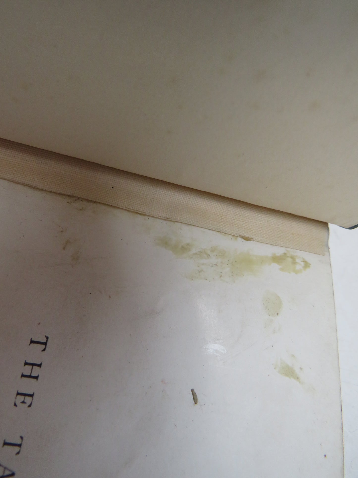 The Tale of Peter Rabbit by Beatrix Potter, First Edition, Rare Antique Children's Book