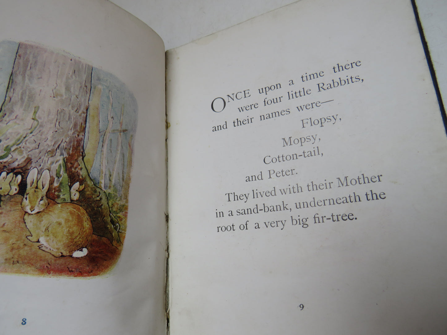 The Tale of Peter Rabbit by Beatrix Potter, First Edition, Rare Antique Children's Book