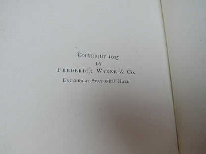 The Tailor of Gloucester by Beatrix Potter, 1903, First Edition, Antique Children's Book book image 5