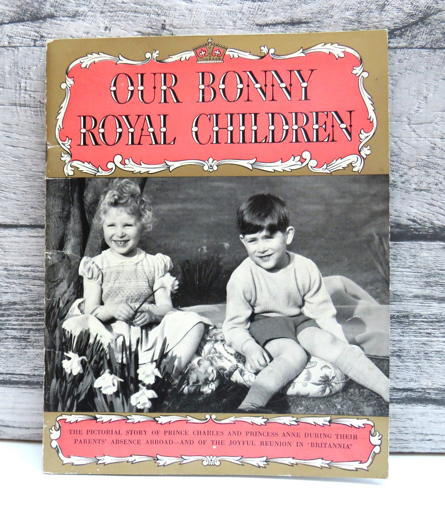 Our Bonny Royal Children By Dorothy Laird