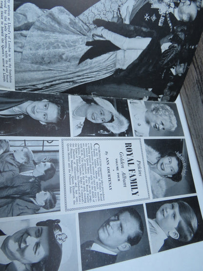 Pitkins Royal Family Golden Album Volume 4 By Ann Courtenay book image 3