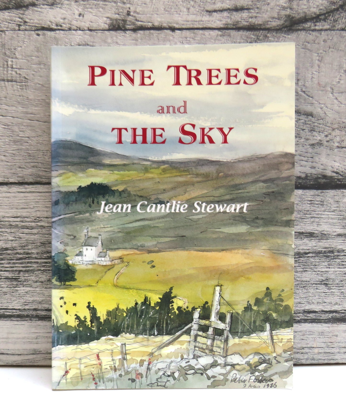 Pine Trees and The Sky By Jean Cantlie Stewart 1998