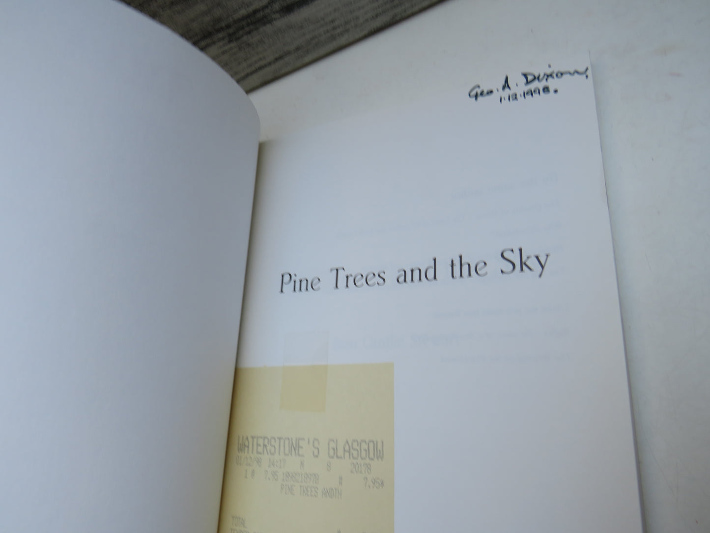 Pine Trees and The Sky By Jean Cantlie Stewart 1998