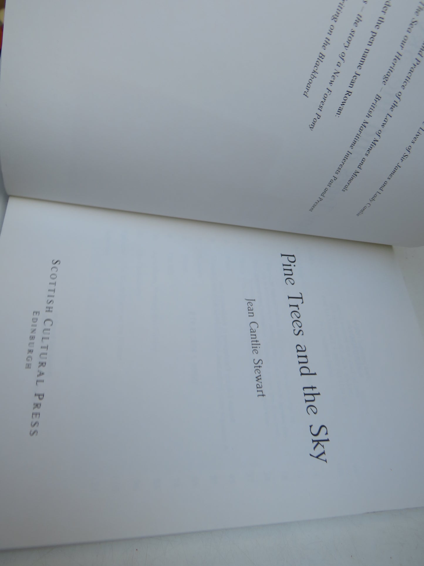 Pine Trees and The Sky By Jean Cantlie Stewart 1998