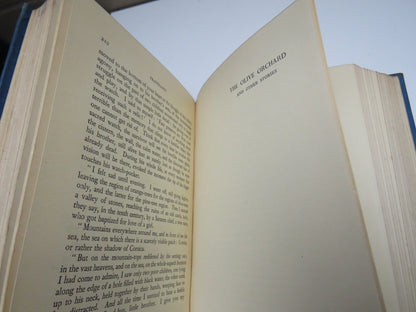 88 Short Stories By Guy De Maupassant 1930 book image 6