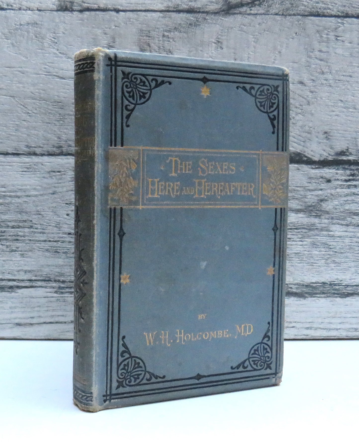 The Sexes Here and Hereafter By William H. Holcombe 1905