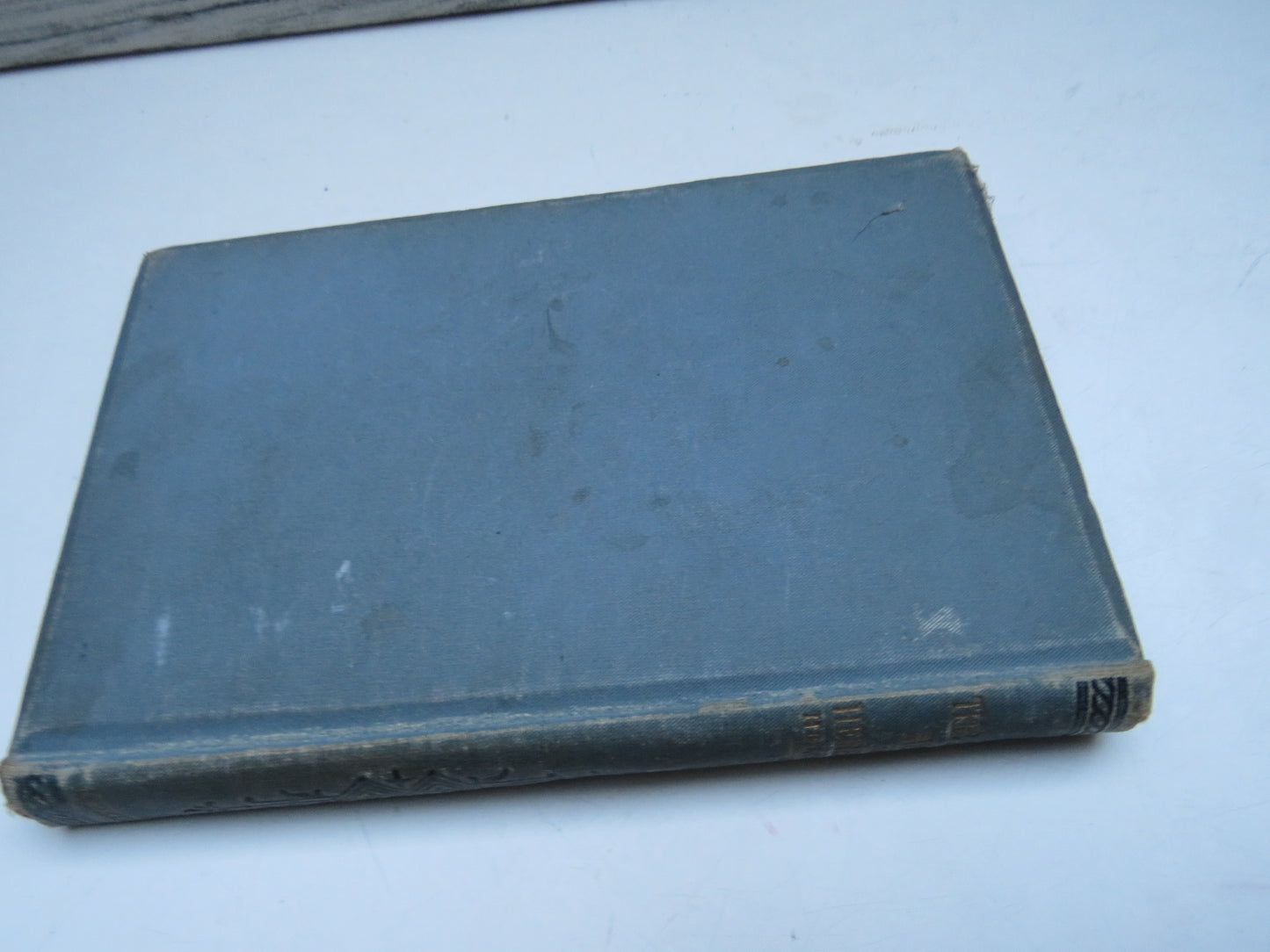 The Sexes Here and Hereafter By William H. Holcombe 1905