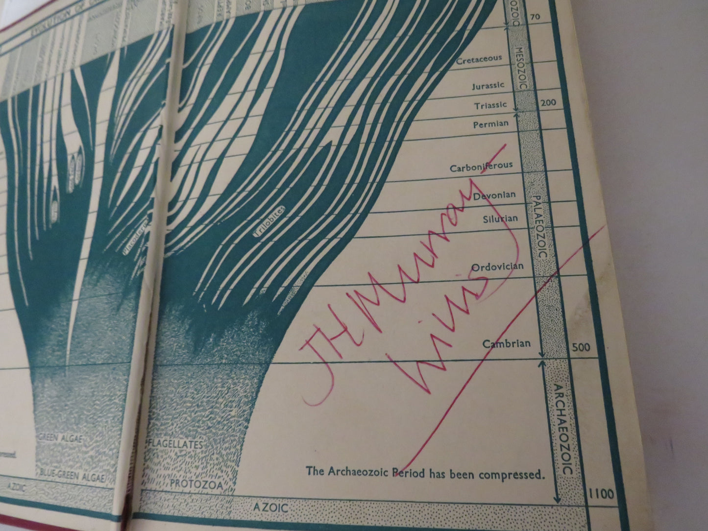 A School Course of Biology, with Suggestions for Experimental and Field Work by L. J. F. Brimble, 1961