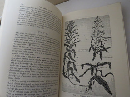 A School Course of Biology, with Suggestions for Experimental and Field Work by L. J. F. Brimble, 19 book image 5