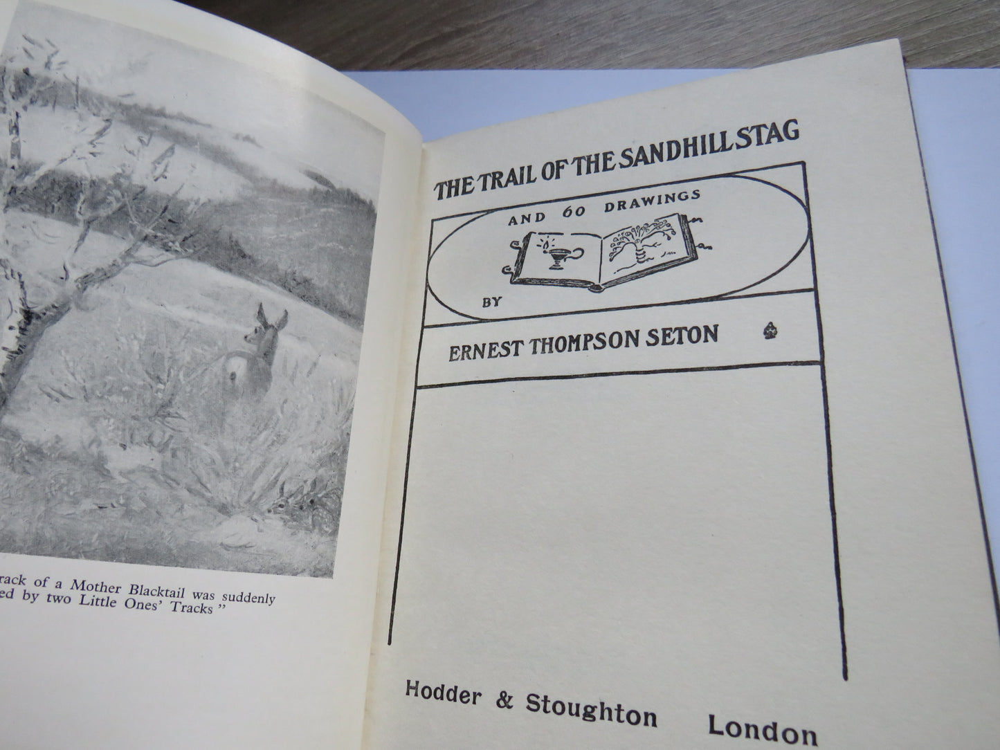 The Trail of The Sandhill Stag and 60 Drawings By Ernest Thompson Seton 1899