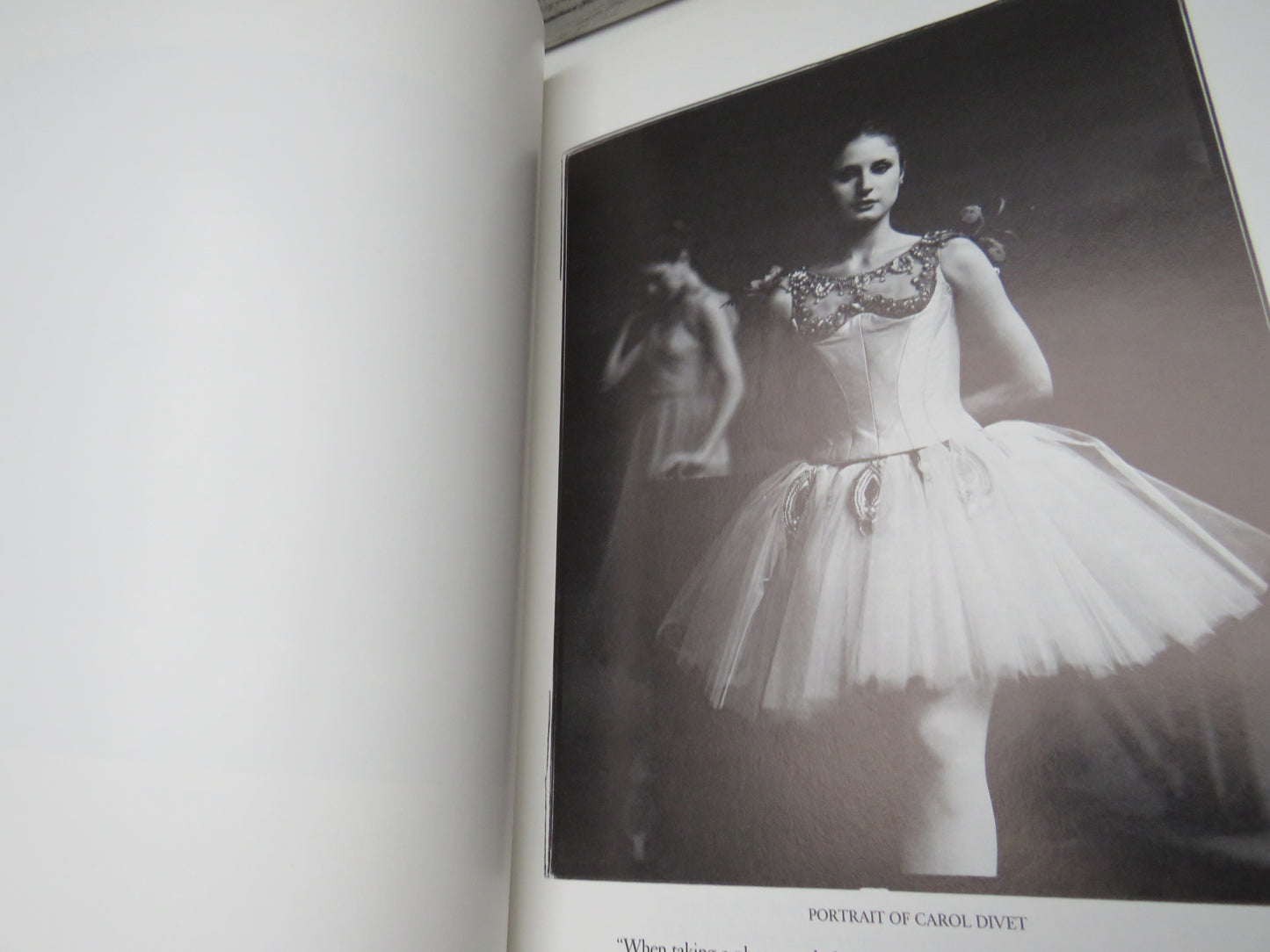 Fashion: Theory Lustrum Press Edited By Carol Di Grappa 1980