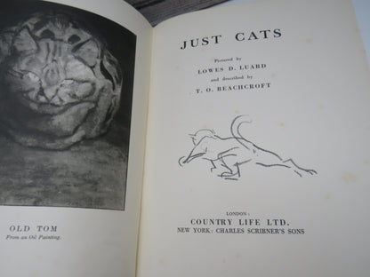 Just Cats Pictured By Lowes D. Luard and Described By T. O. Beachcroft 1936 1st Edition book image 3