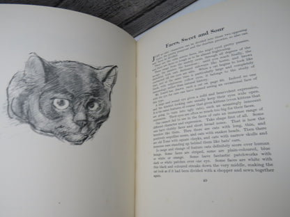 Just Cats Pictured By Lowes D. Luard and Described By T. O. Beachcroft 1936 1st Edition book image 5