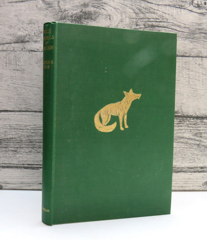 Wild Animals In Britain Mammals, Reptiles and Amphibians By Oliver G. Pike 1950