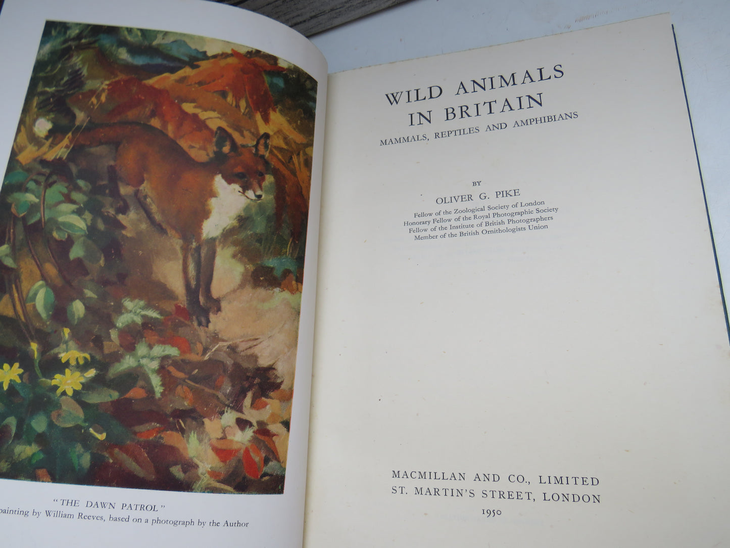 Wild Animals In Britain Mammals, Reptiles and Amphibians By Oliver G. Pike 1950