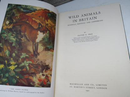 Wild Animals In Britain Mammals, Reptiles and Amphibians By Oliver G. Pike 1950