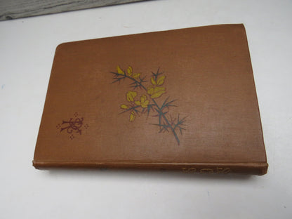 Three Sixteenth Century Sketches By Sarah Brook book image 2