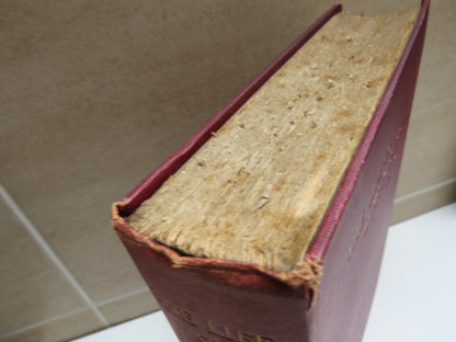 The Life of Lord Russell of Killowen By R. Barry O'Brien 1901 book image 3
