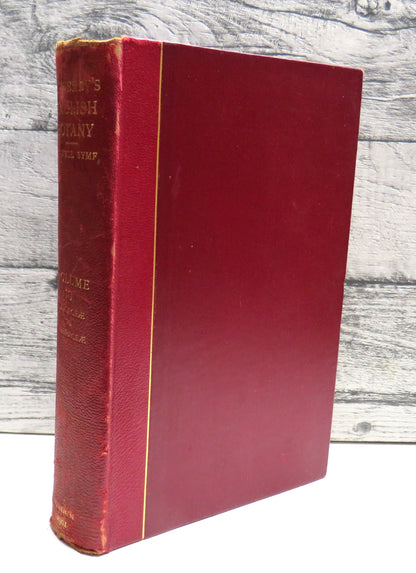 English Botany Or Coloured Figures Of British Plants By J. Sowerby 1899 Vol X book front cover
