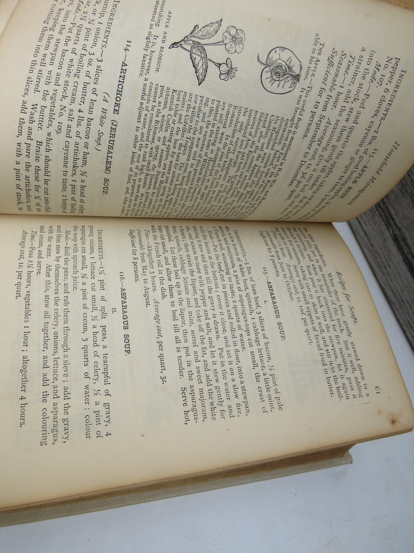 The Book of Household Management By Mrs Isabella Beeton 1869 New Edition