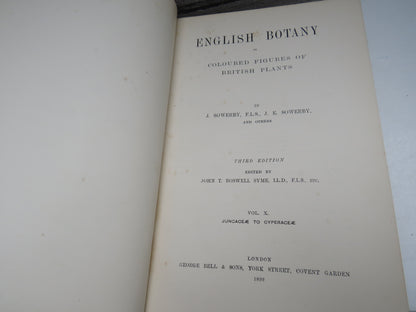 English Botany Or Coloured Figures Of British Plants By J. Sowerby 1899 Vol X book image 3