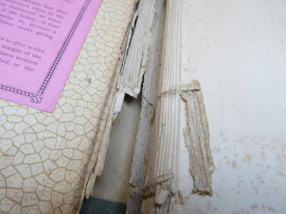 Fridtjof Nansen A Book For The Young By Jacob B. Bull 1898 book image 4