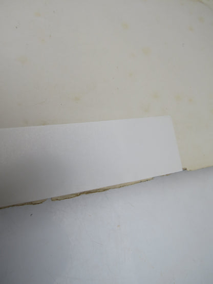 To Mesopotamia and Kurdistan In Disguise With Historical Notices of The Kurdish Tribes and the Chald book image 5