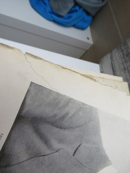 To Mesopotamia and Kurdistan In Disguise With Historical Notices of The Kurdish Tribes and the Chald book image 6