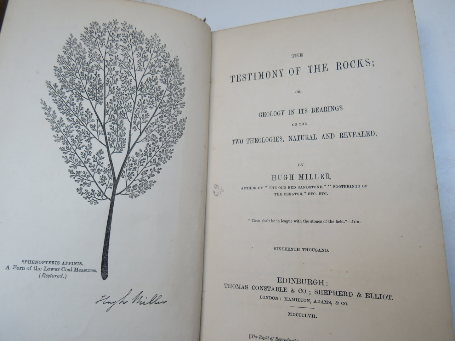 The Testimony Of The Rocks; Or Geology In Its Bearings On The Two Theologies, Natural and Revealed By Hugh Miller 1857