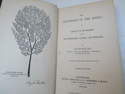 The Testimony Of The Rocks; Or Geology In Its Bearings On The Two Theologies, Natural and Revealed B book image 3